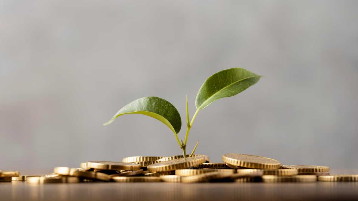 front-view-plant-growing-from-golden-coins front-view-plant-growing-from-golden-coins