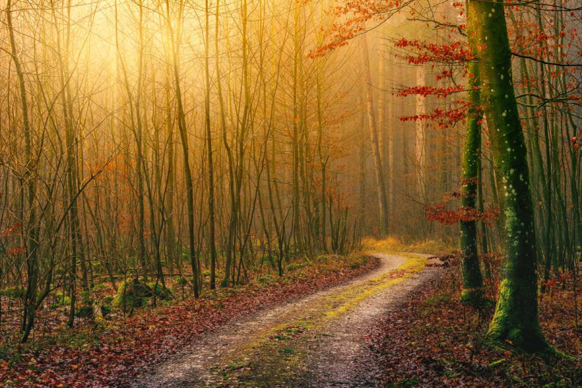 gray-dirt-road-green-grass gray-dirt-road-green-grass