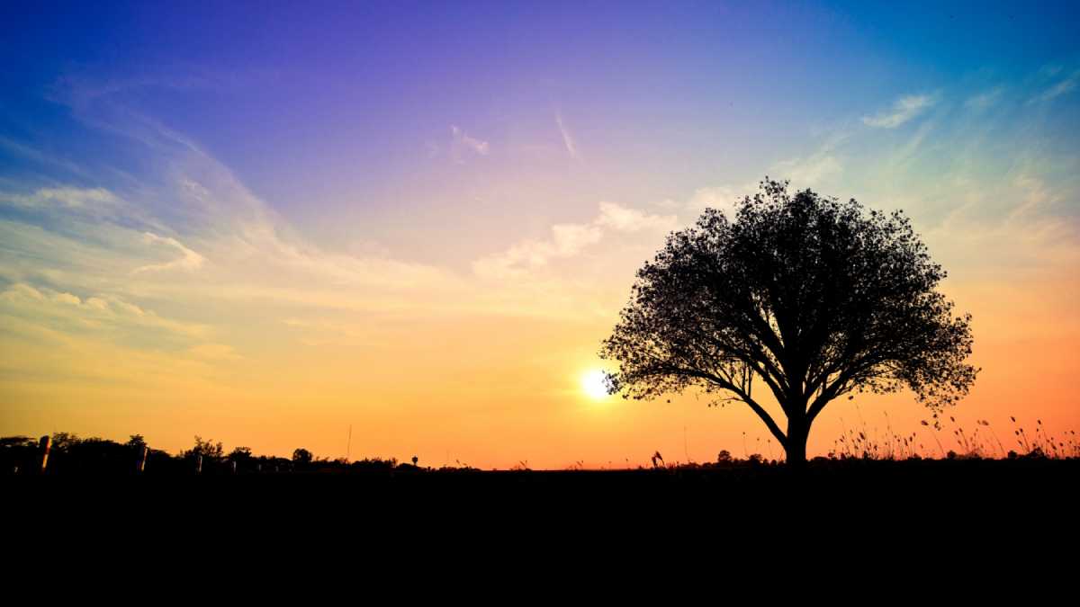 sunset-view sunset-view
